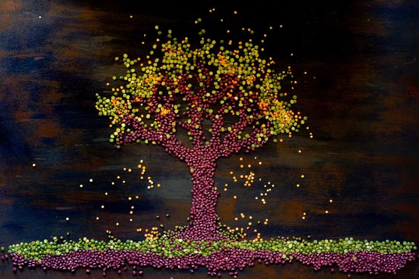 les indispensables pour une cuisine végane savoureuse