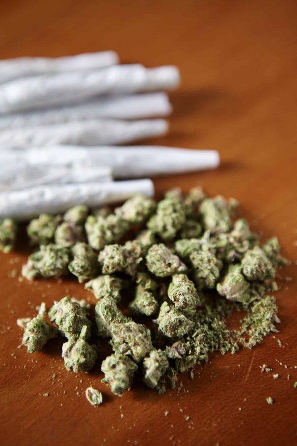 Découvrez les bienfaits apaisants des brownies au CBD