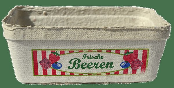 Que savoir avant d'acheter un plateau-repas écologique ?